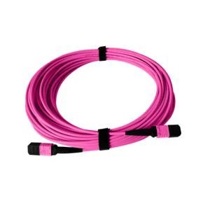 Patch Cord MTP 12 šķiedras OM4 MMF TypeB LSZH 3ft